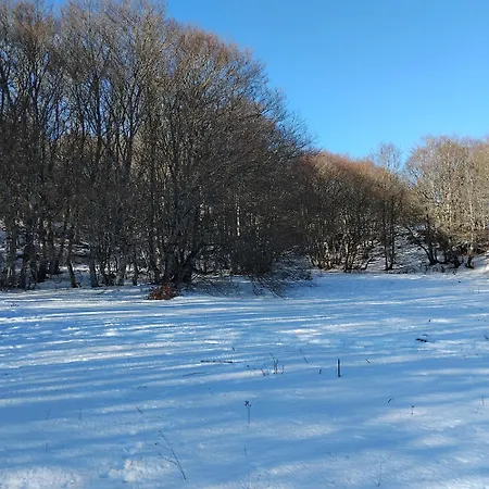 公寓 Le Repos D'aubrac *