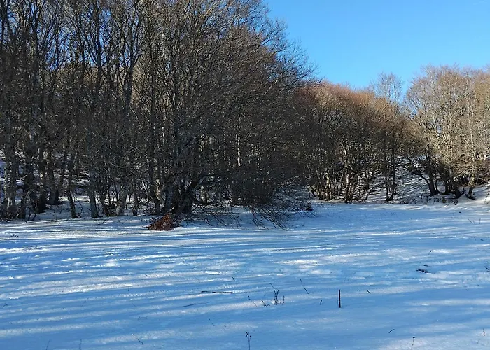 公寓 Le Repos D'aubrac *