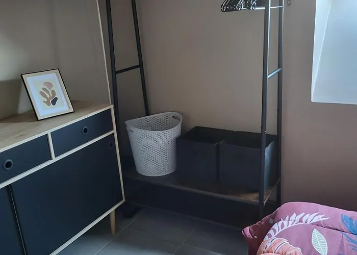 Le Repos D'aubrac 公寓 拉吉约勒